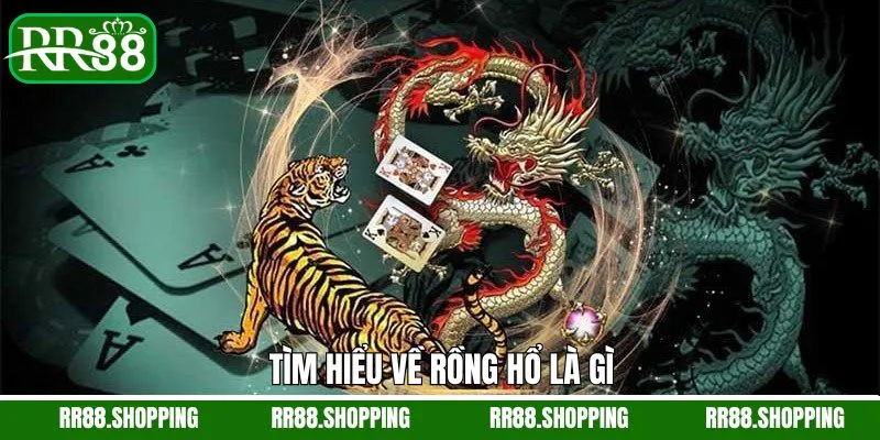 Một vài thông tin cơ bản về game rồng hổ nên biết  Một vài thông tin cơ bản về game rồng hổ nên biết